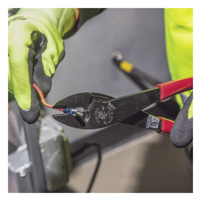 Vista 4
