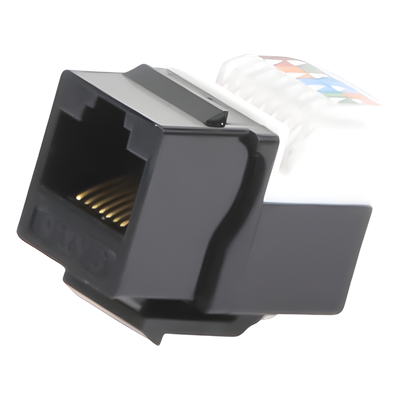 Vista 4