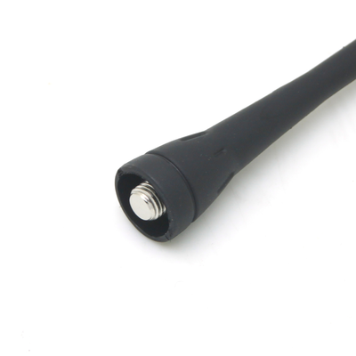 Vista 6