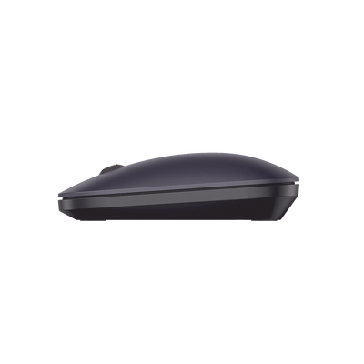 Vista 4